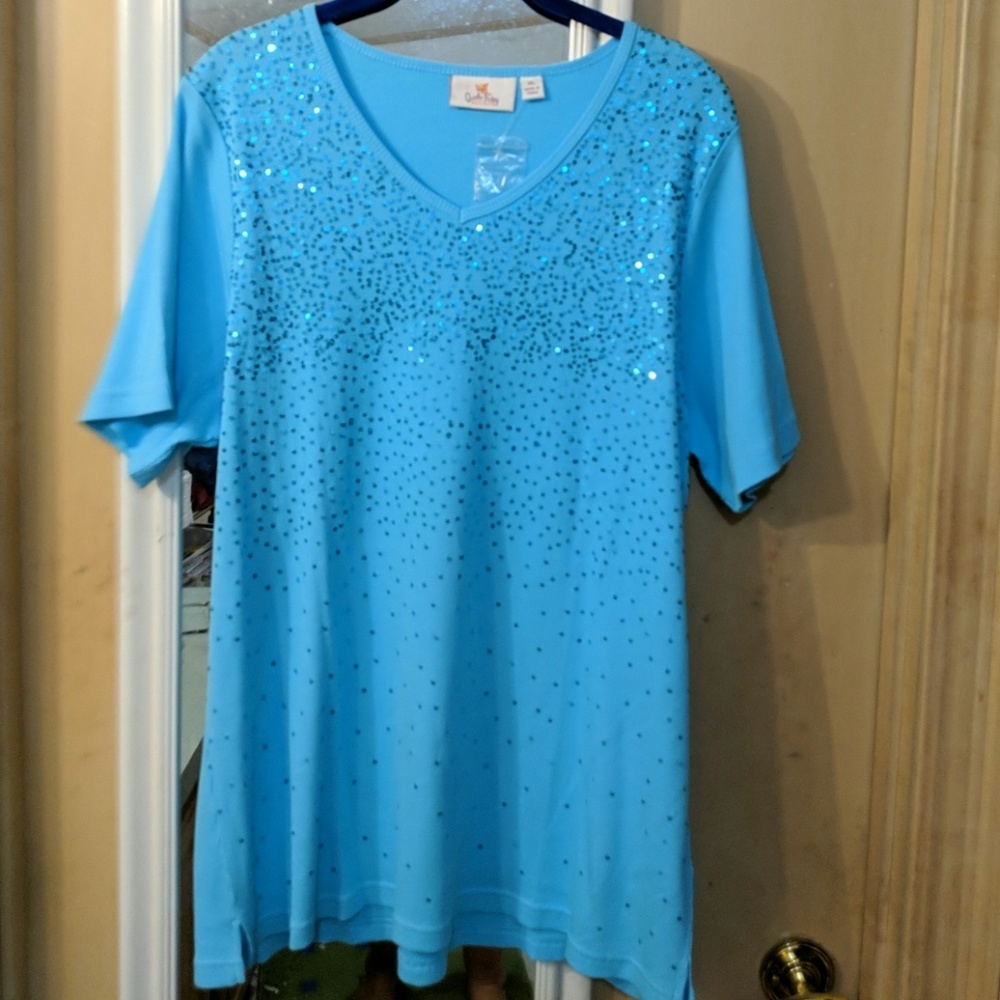 NWT short sleeve mini sequin v-neck tee
